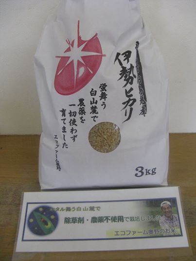 写真: 店で炊いている玄米ご飯は、この「無農薬栽培いせひかり」を「たかの自慢の業務用浄活水器で濾過したミネラル水」にて発芽させて炊いています。
店頭でも多くは置いていませんが「いせひかり玄米」を販売しています。
「いせひかり」は、伊勢神宮の神田で、台風の時に数株だけ生き残っていた新品種、その種は、志のある全国の農家さんに与えられ、一株一株増やされていったお米なのです。
