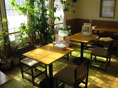 写真: 春の日差しは店の中にも入ってきています。