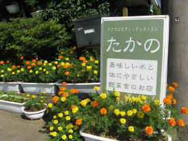 店の花