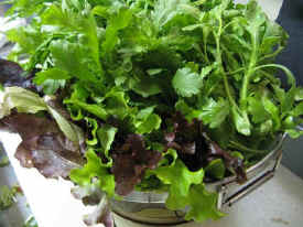 生野菜無農薬